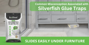 How to Get Rid of Silverfish with Eco-Friendly Silverfish Glue Traps