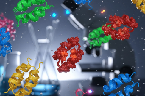 Different Types of Active Proteins and Their Uses